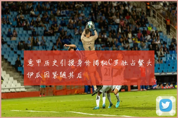 意甲历史引援身价揭秘C罗独占鳌头伊瓜因紧随其后