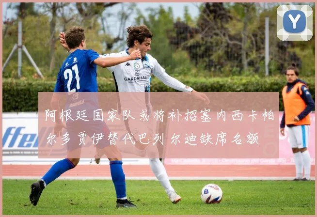 阿根廷国家队或将补招塞内西卡帕尔多贾伊替代巴列尔迪缺席名额